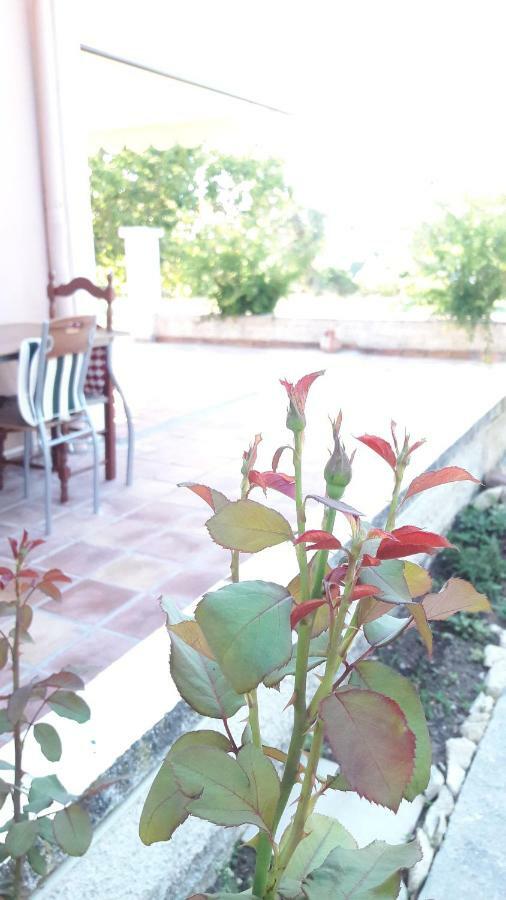 Country House Kefalonia Dhorizáta Εξωτερικό φωτογραφία
