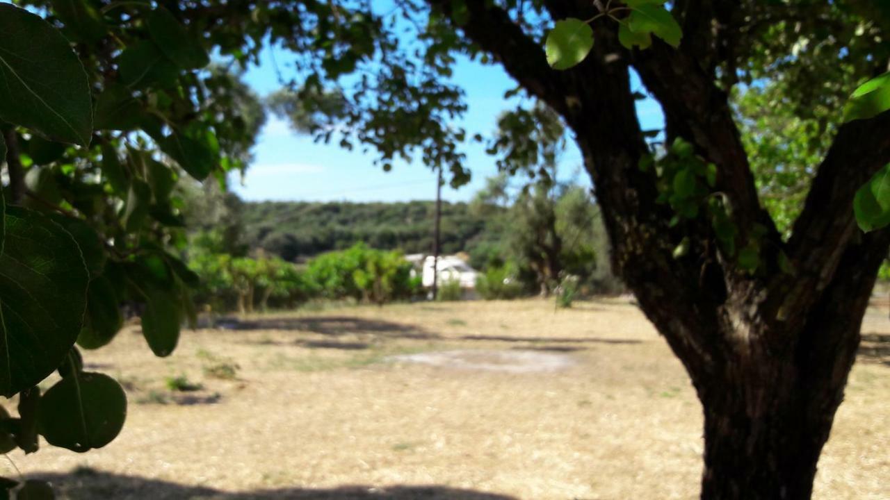 Country House Kefalonia Dhorizáta Εξωτερικό φωτογραφία